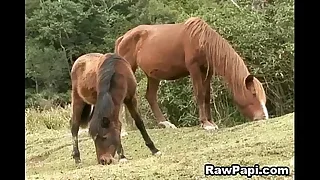 Gay Sex 2